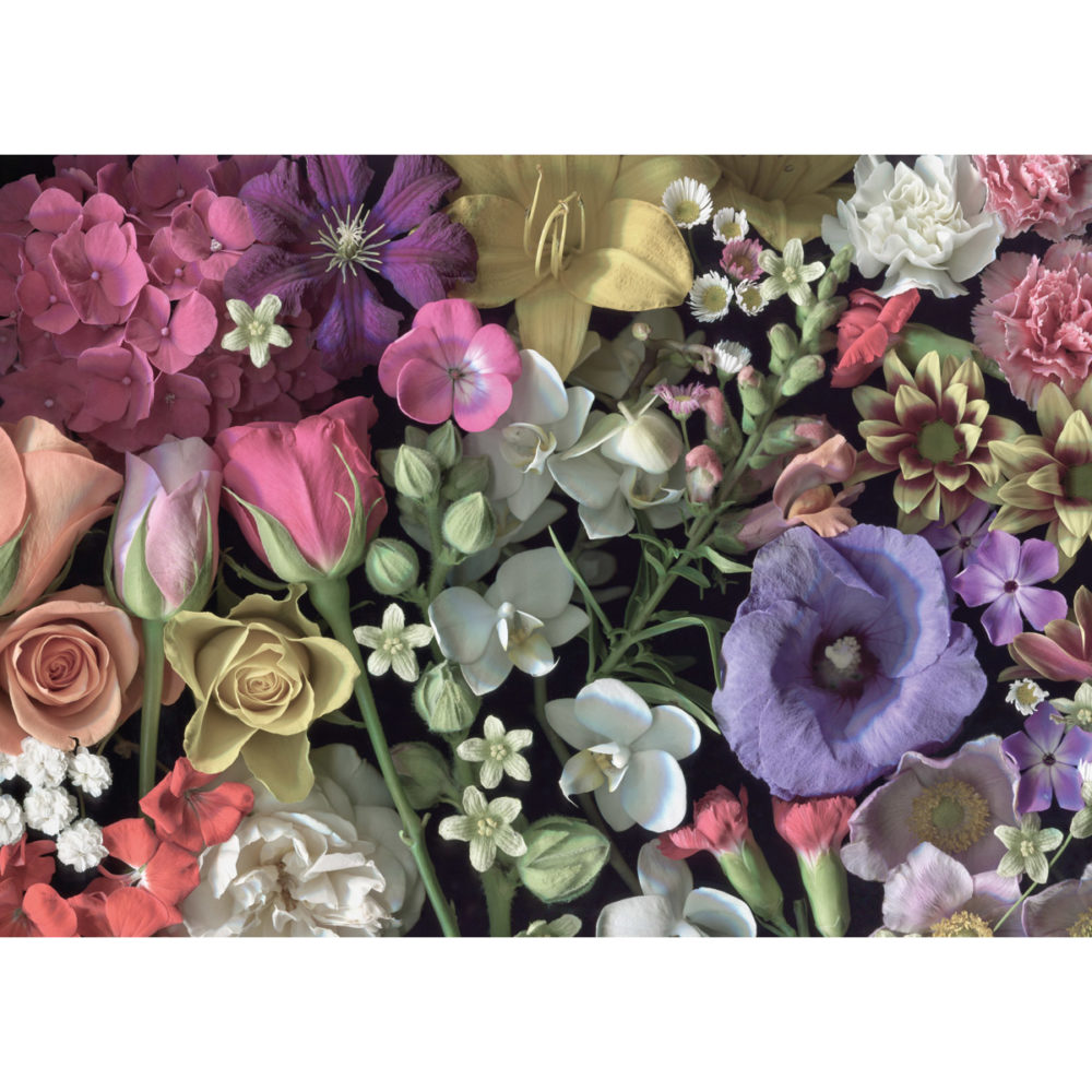 Flowers is a challenging 1000 piece jigsaw puzzle for grown ups!
