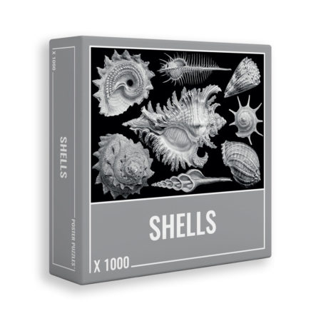 Shells jigsaw puzzle from Cloudberries