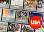 USA puzzle subscription