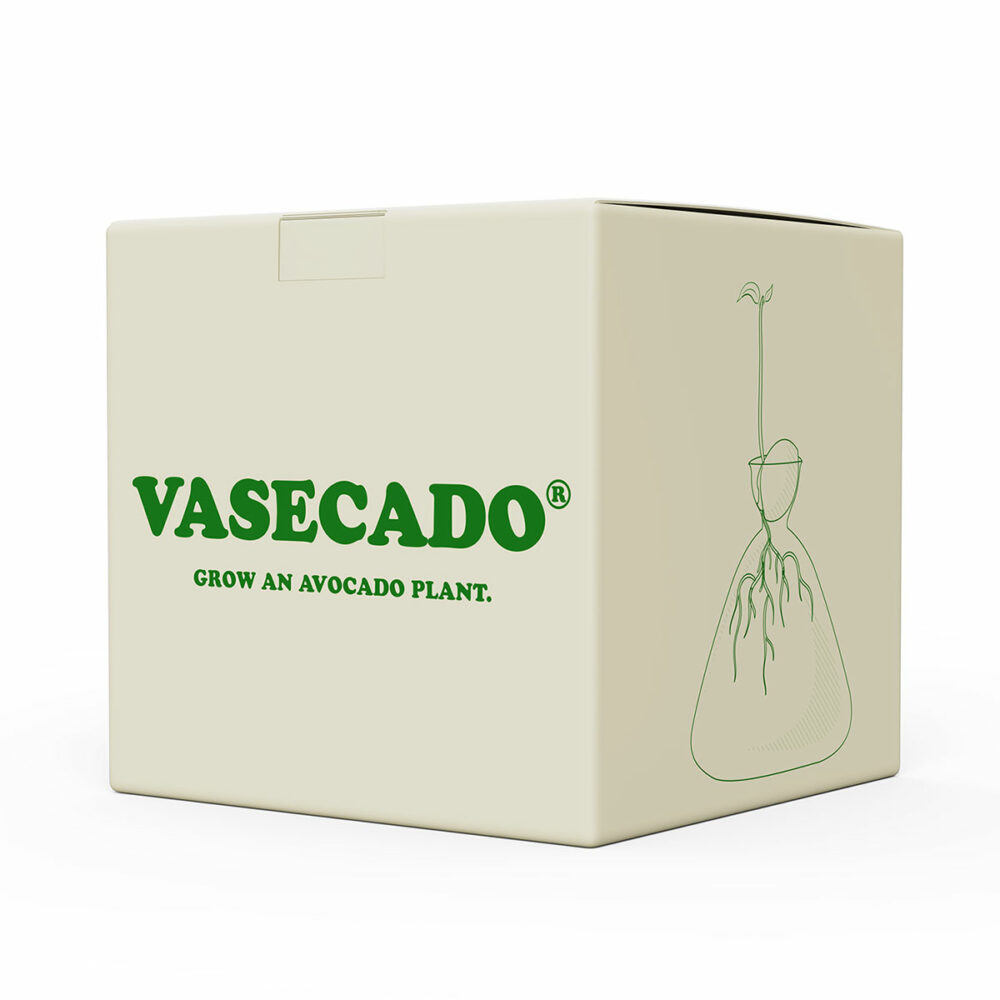 Vasecado vase for avocados