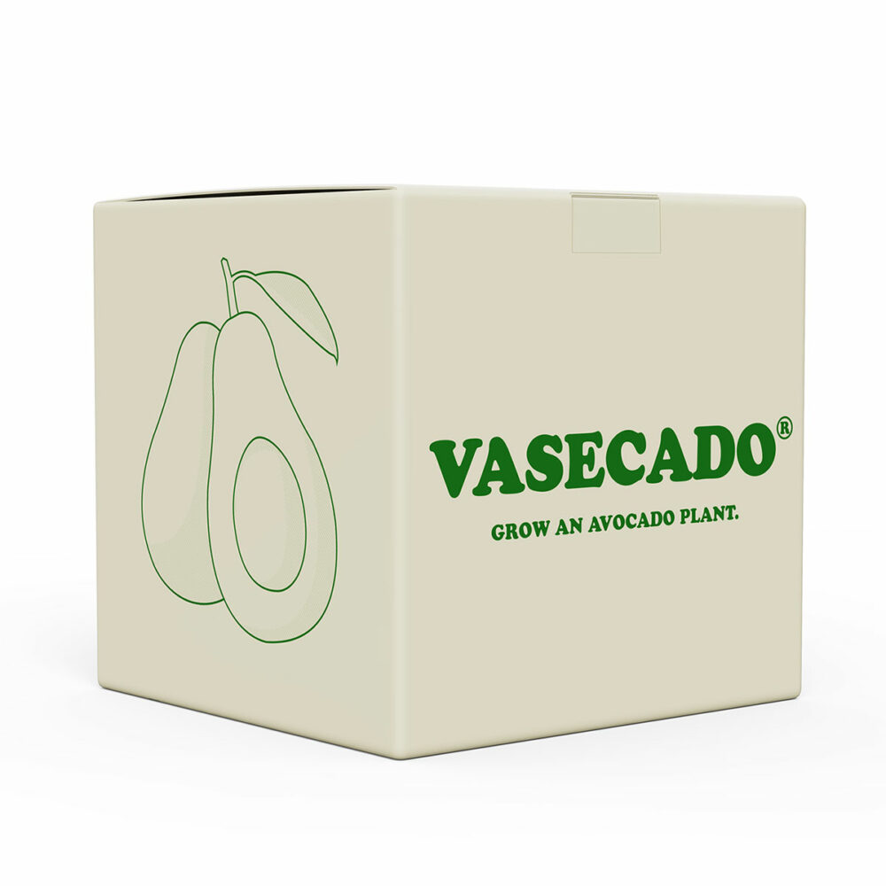 Avocado vase by Cloudberries